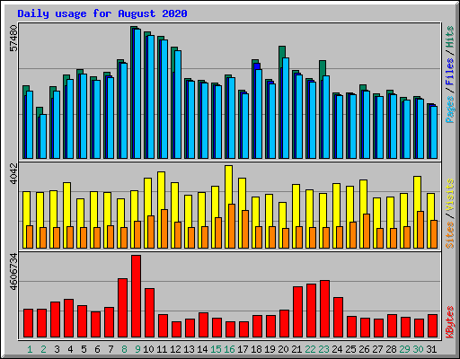 Daily usage for August 2020