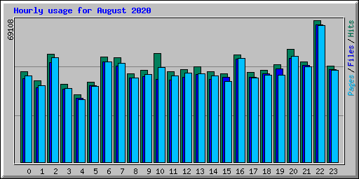 Hourly usage for August 2020