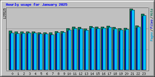 Hourly usage for January 2025