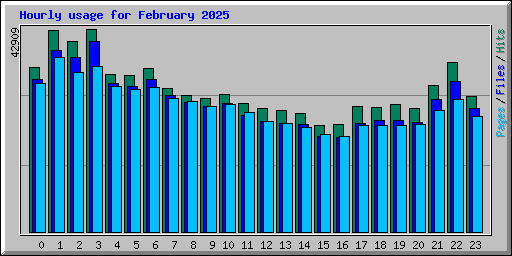 Hourly usage for February 2025