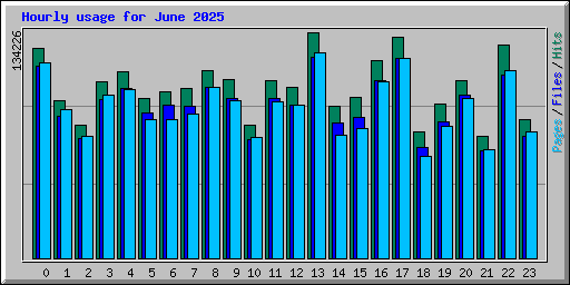 Hourly usage for June 2025