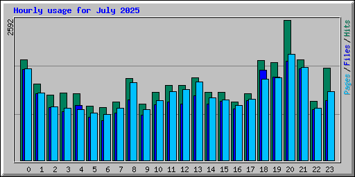 Hourly usage for July 2025