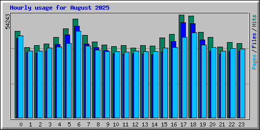 Hourly usage for August 2025
