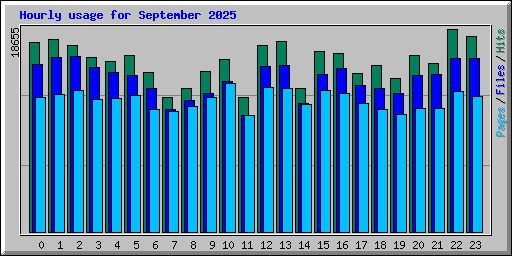 Hourly usage for September 2025