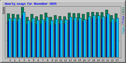 Hourly usage for November 2025