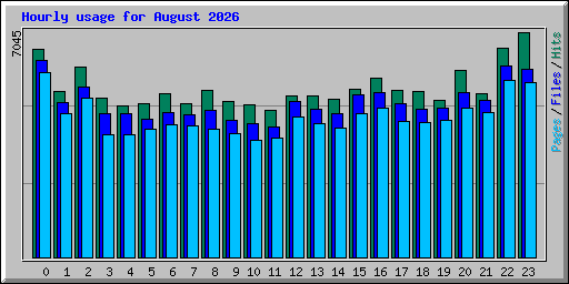 Hourly usage for August 2026